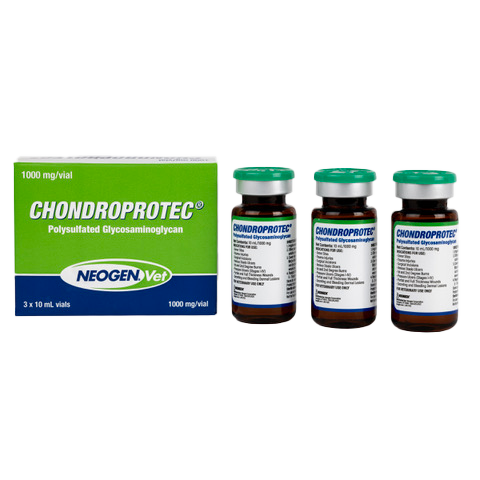 CHONDROPROTEC® 1